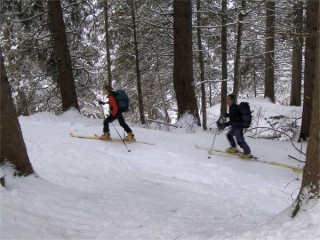 climbing through the forest before the detour