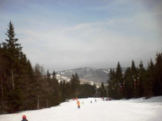 Top of the Haldenköpfle pistes