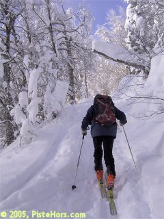 ski touring in the Chartreuse