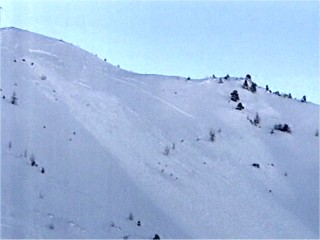 avalanche arc 2000